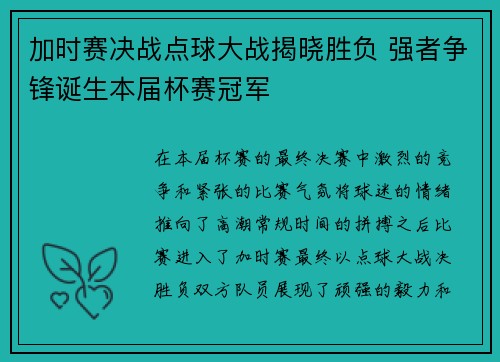 加时赛决战点球大战揭晓胜负 强者争锋诞生本届杯赛冠军